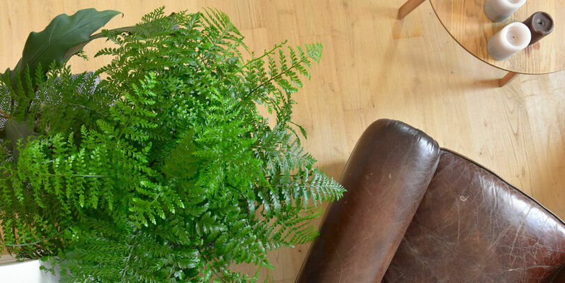 Équipe de l’agence de design pluridisciplinaire Félix et associés dans ses locaux à Bordeaux