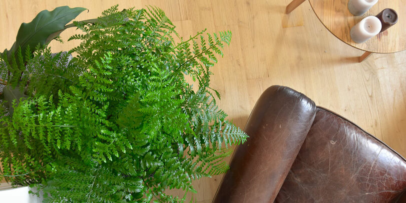 Diaporama accueil intro