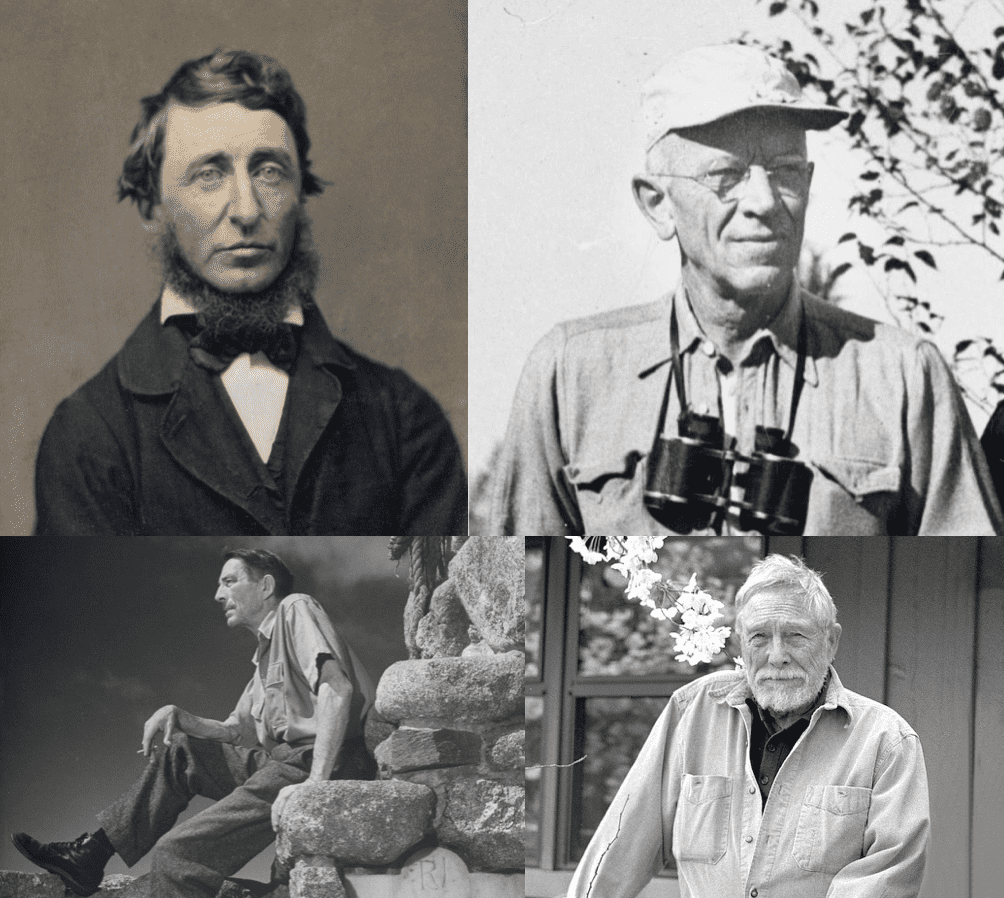 écrivains américains et nature
