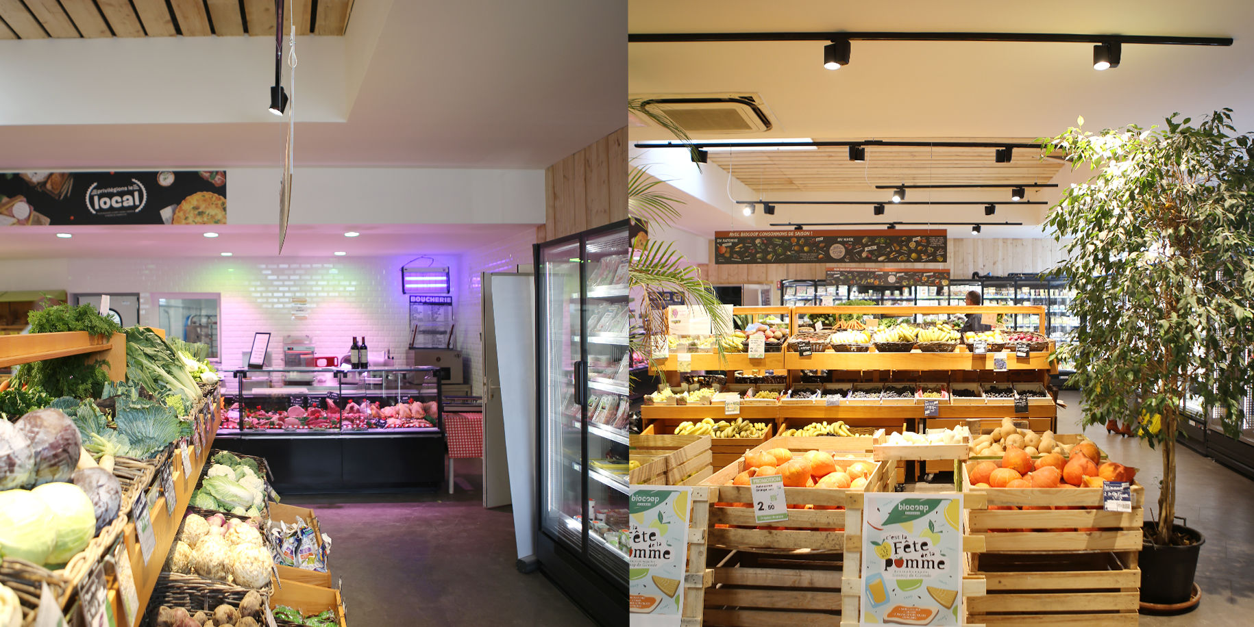 Rénovation du magasin Biocoop de Cenon (photo 3)