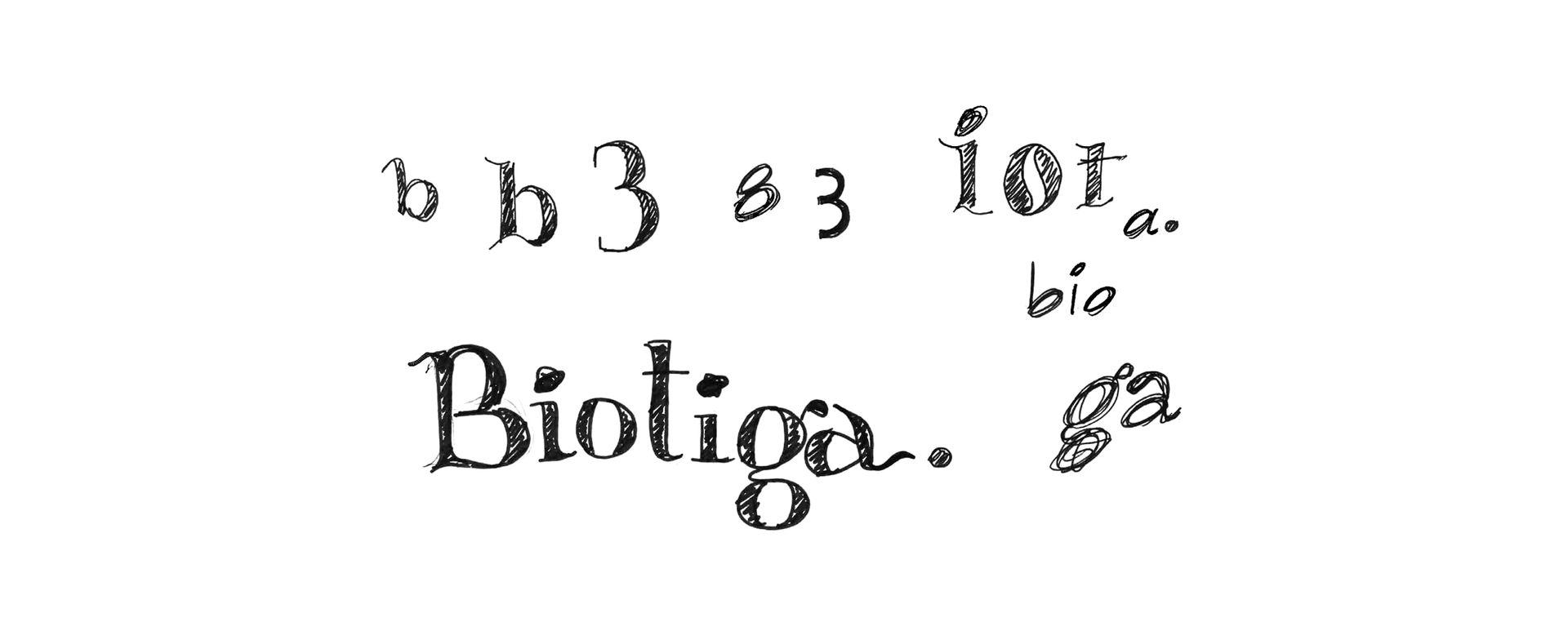 Biotiga, création de marque de magasin Bio (photo 2)