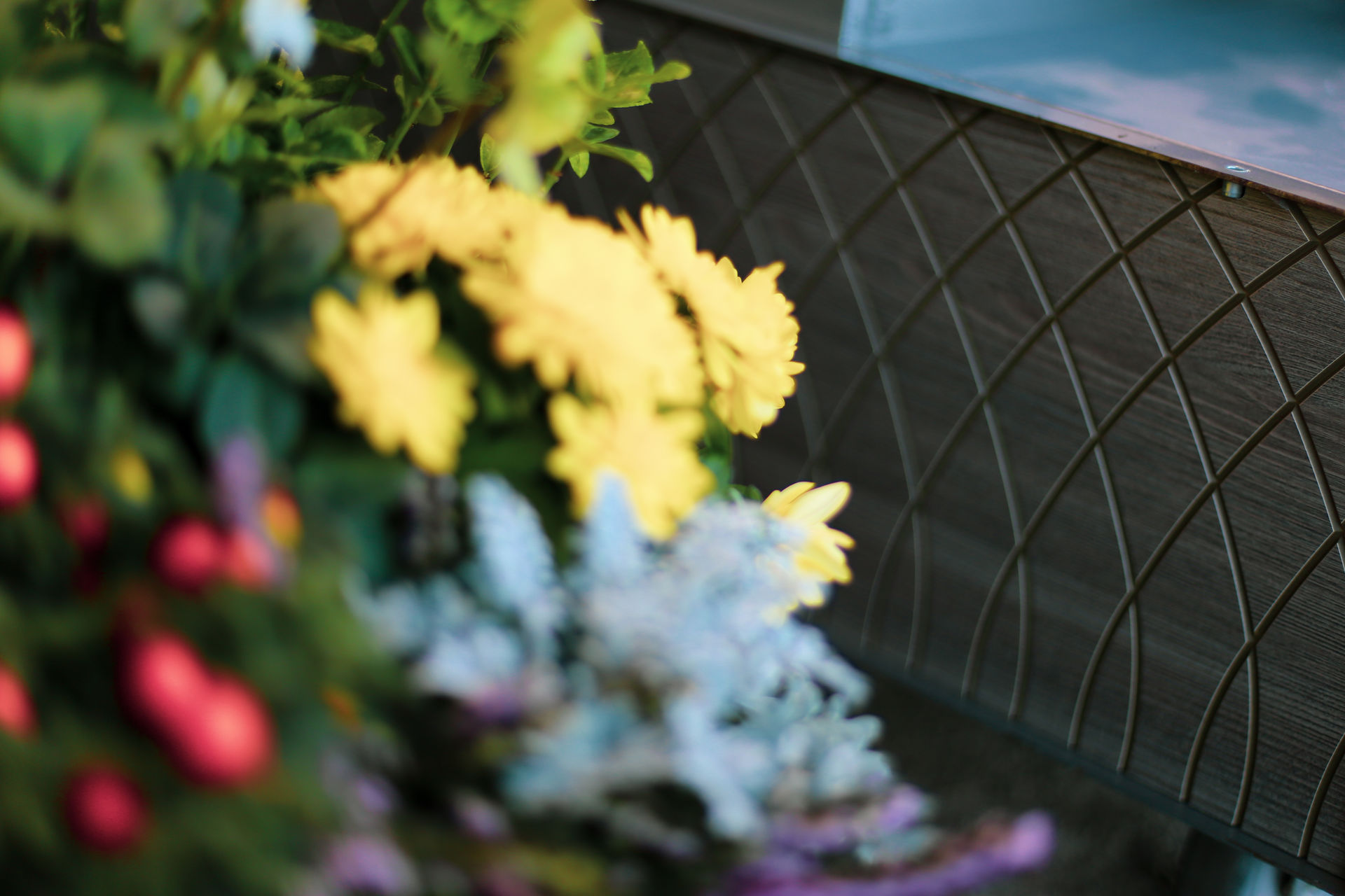 Design de franchise : concept de magasins Carrément Fleurs (photo 4)