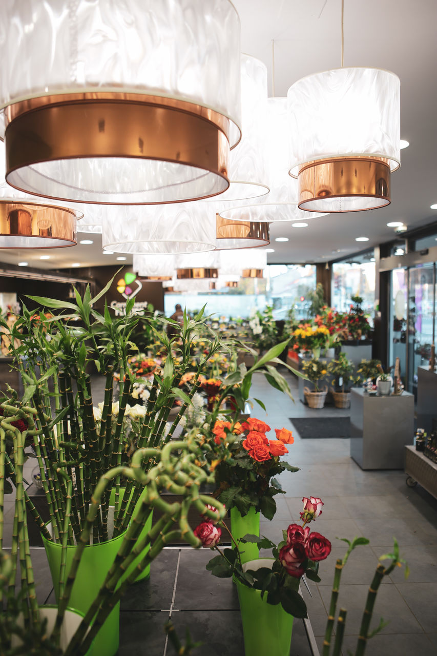Design de franchise : concept de magasins Carrément Fleurs (photo 5)