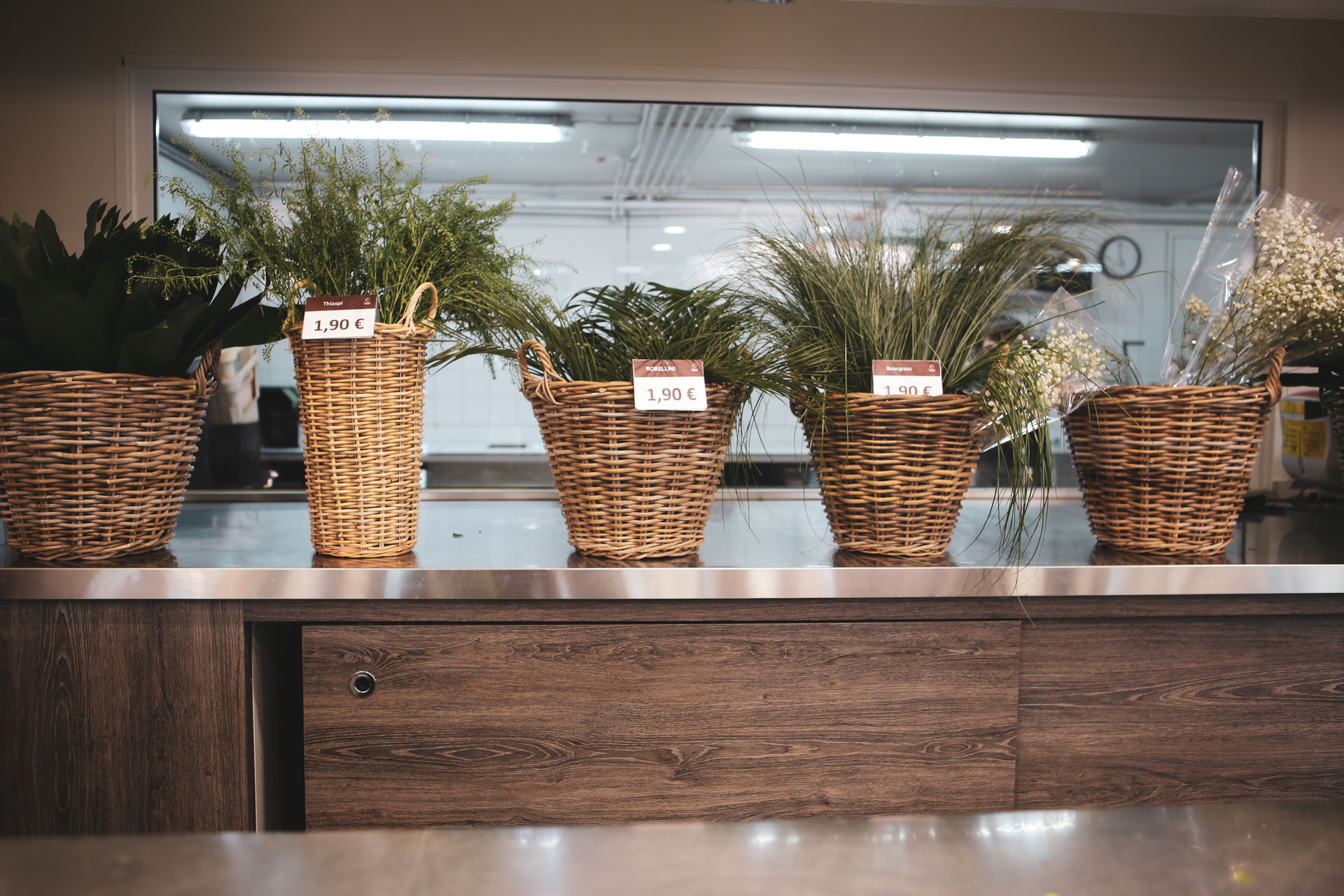 Design de franchise : concept de magasins Carrément Fleurs (photo 7)