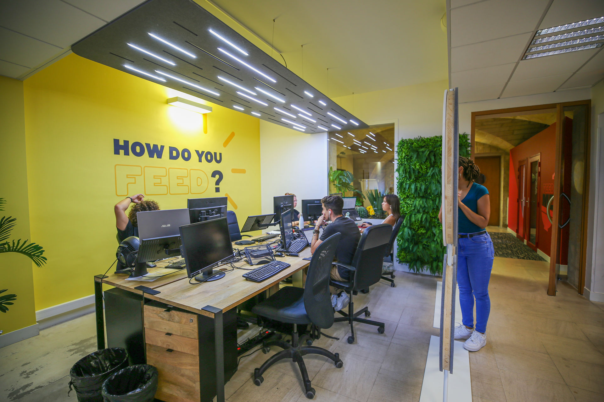Design d’espace et branding pour Feed Manager Bordeaux (photo 5)