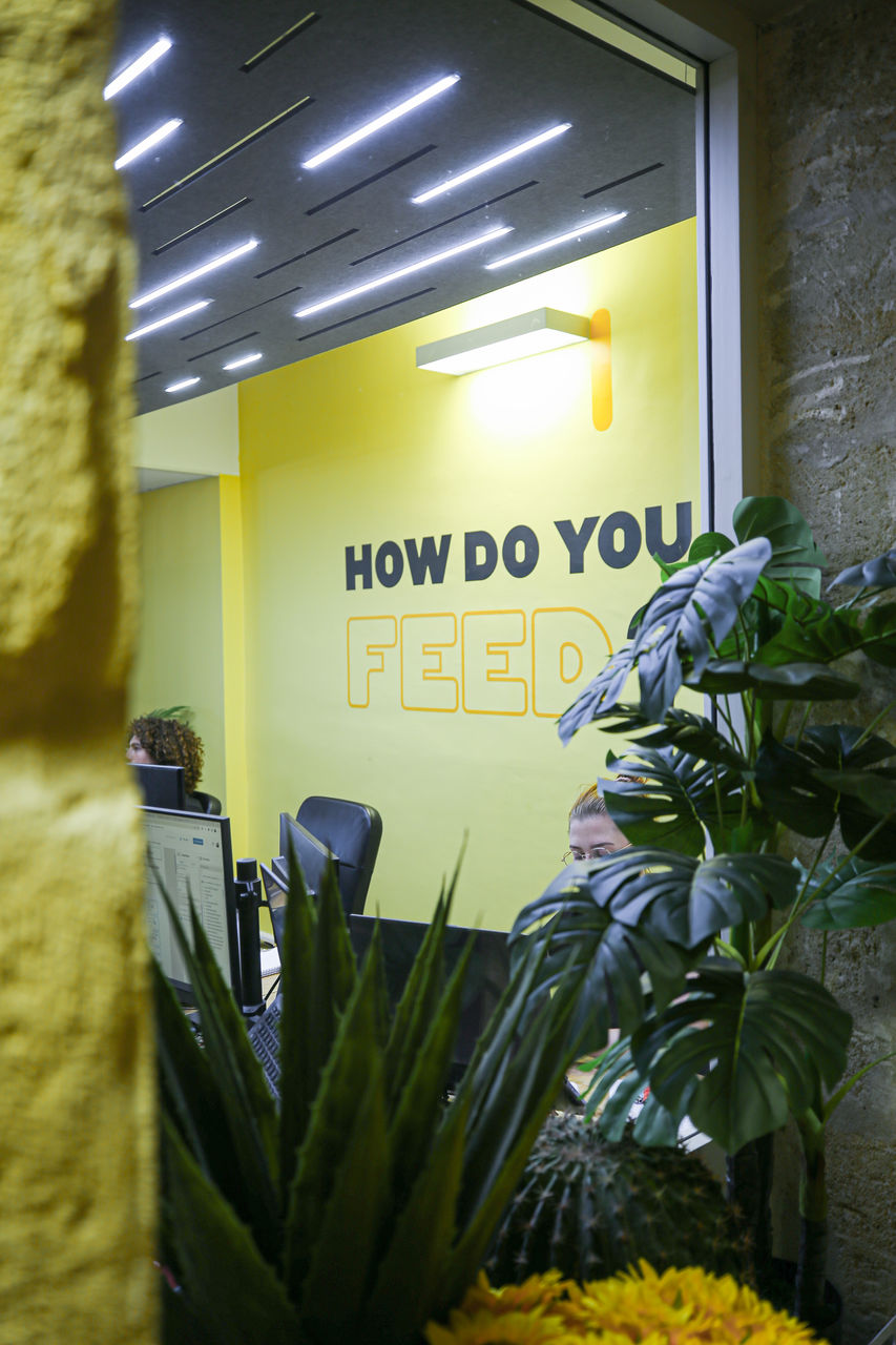 Design d’espace et branding pour Feed Manager Bordeaux