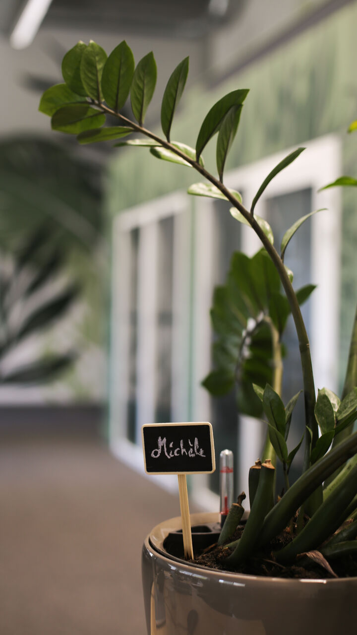 Espace détente dans les bureaux Onepoint à Bordeaux, design orienté bien-être et collaboration