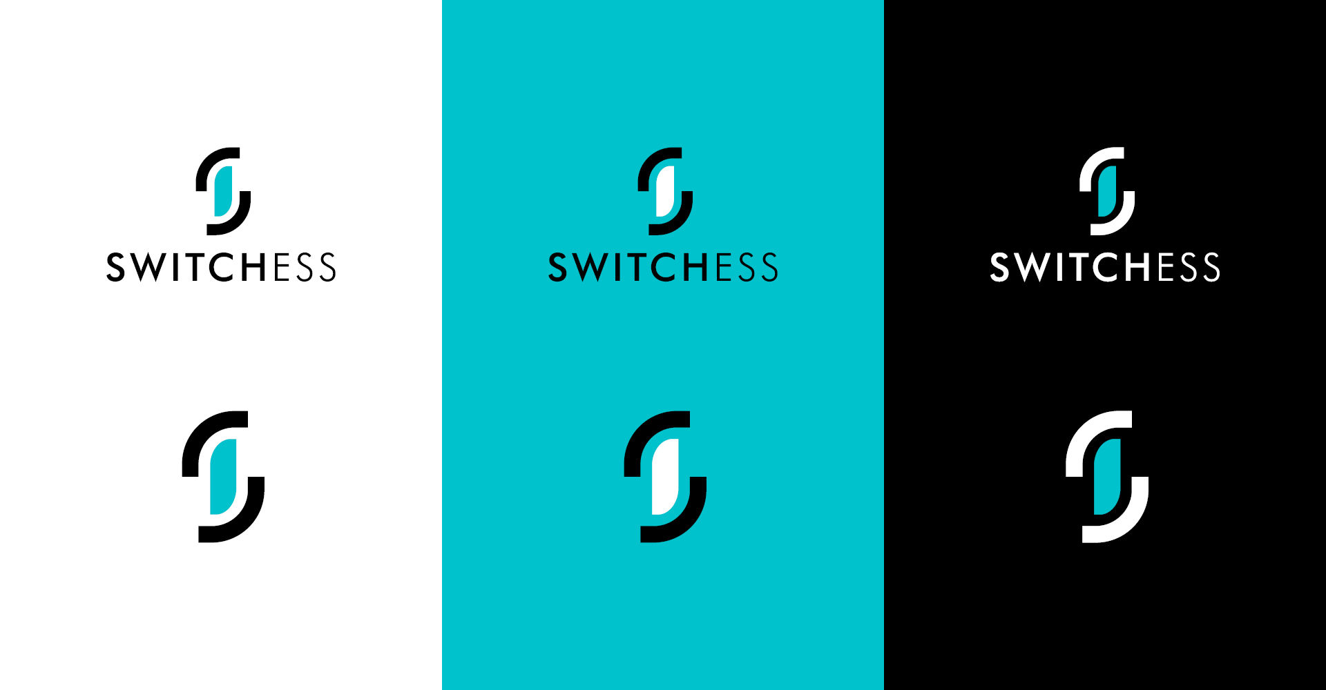 Switchess, création de marque et batterie de stockage de l’énergie électrique (photo 5)