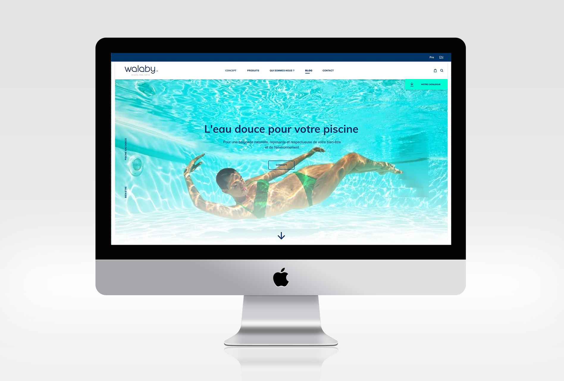 Walaby, design d’une marque de traitement écologique des eaux de piscine (photo 4)