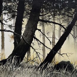 Eléments - exposition de Pierre Renollet du 26 mars au 03 avril 2026