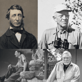 LittéNature, soirée lectures inspirées par la nature : le Samedi 08 novembre 2025 à 19h30