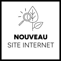 Le meilleur site web écoconçu est celui qui n'existe pas