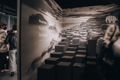 Low : veille/felix_associes_design_espace_stand_architect_work_caparol_peinture_nuancier_schwarz_noir-17.jpg